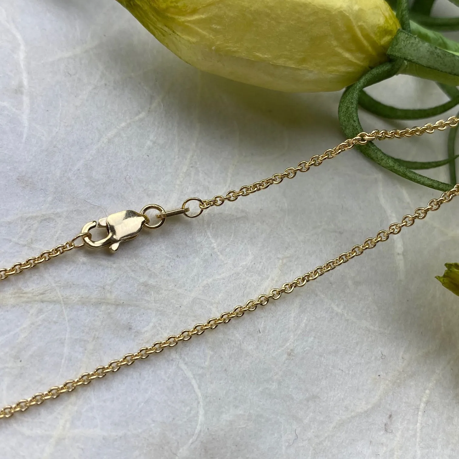 14k Yellow Gold Sturdy and Dainty Chain