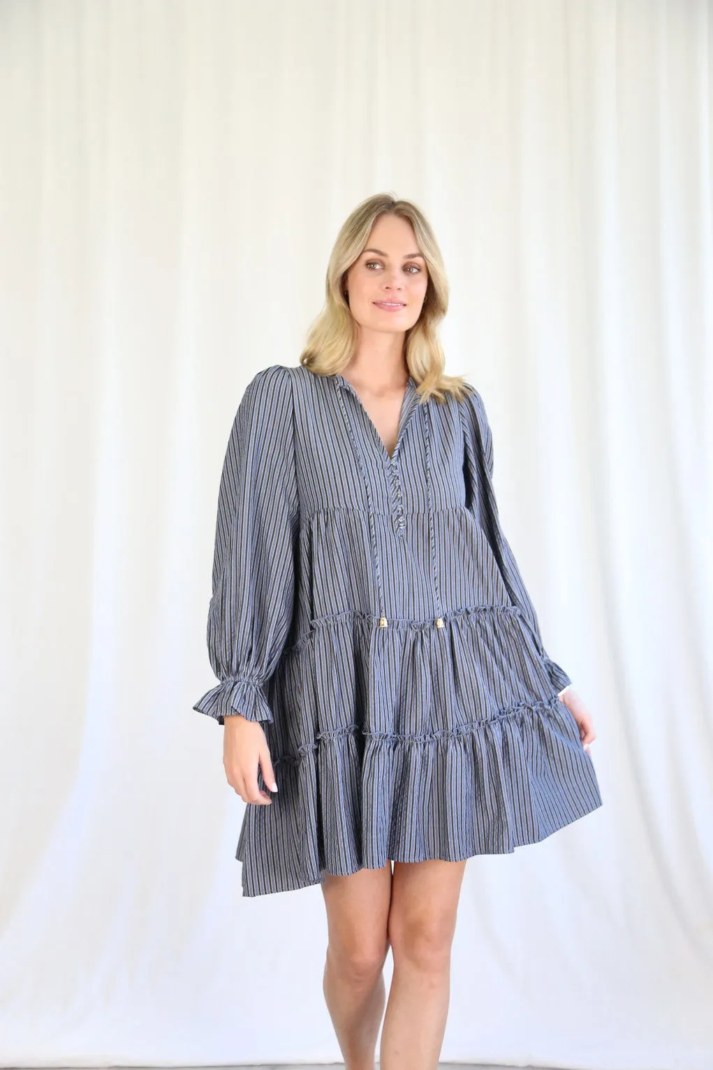 ADELAIDE long sleeve dress (navy stripe)