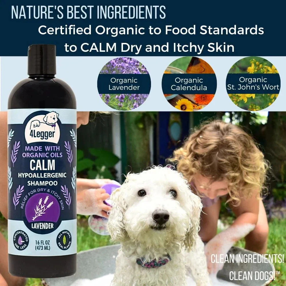 CALM Organic Lavender Dog Shampoo with Calendula and St. John's Wort