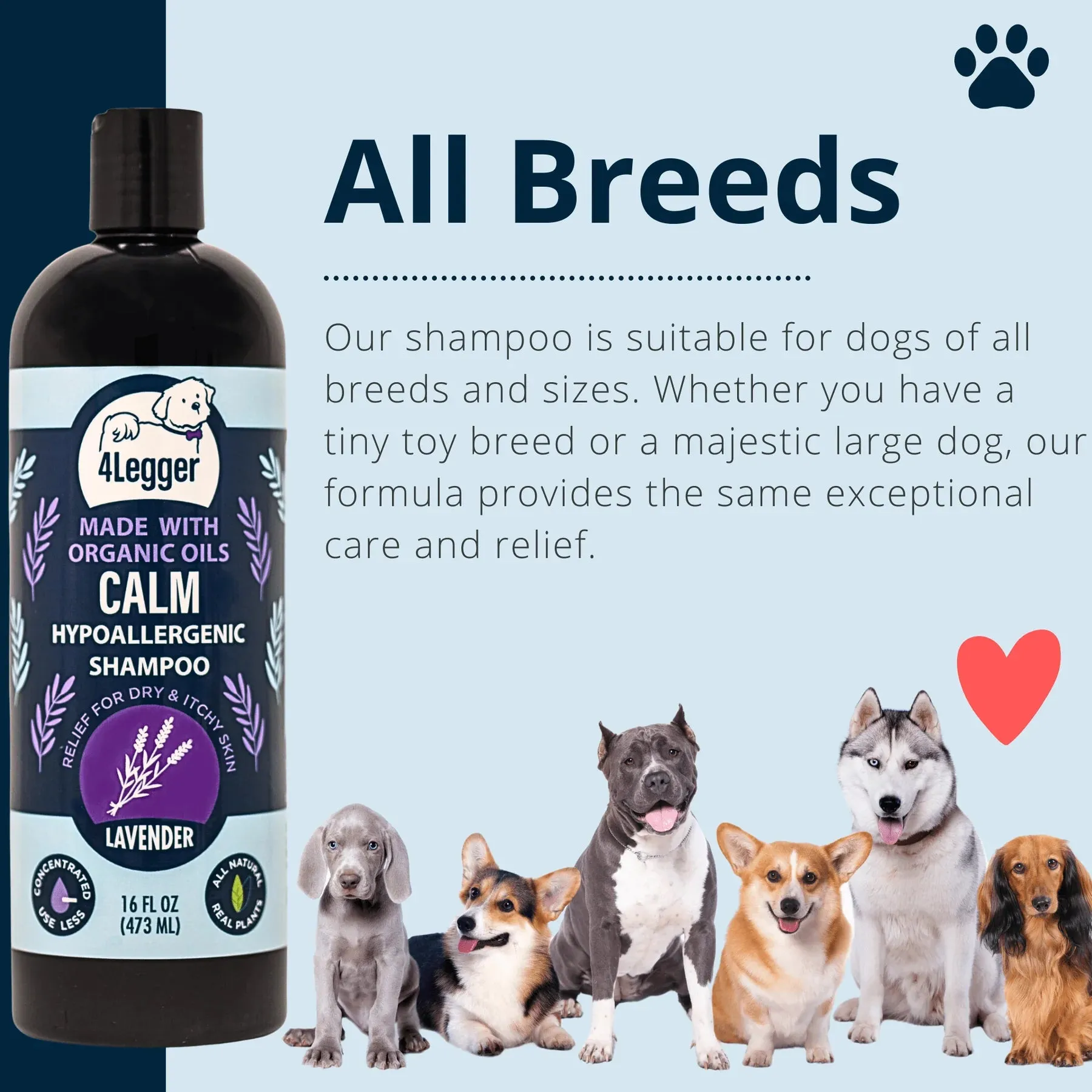 CALM Organic Lavender Dog Shampoo with Calendula and St. John's Wort