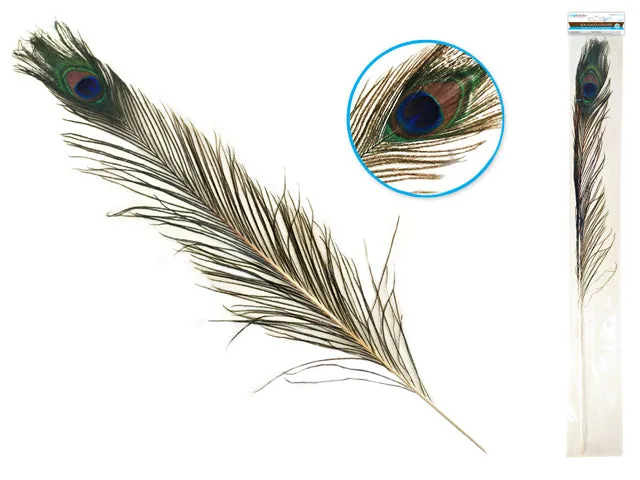 Feather, Peacock 31-35