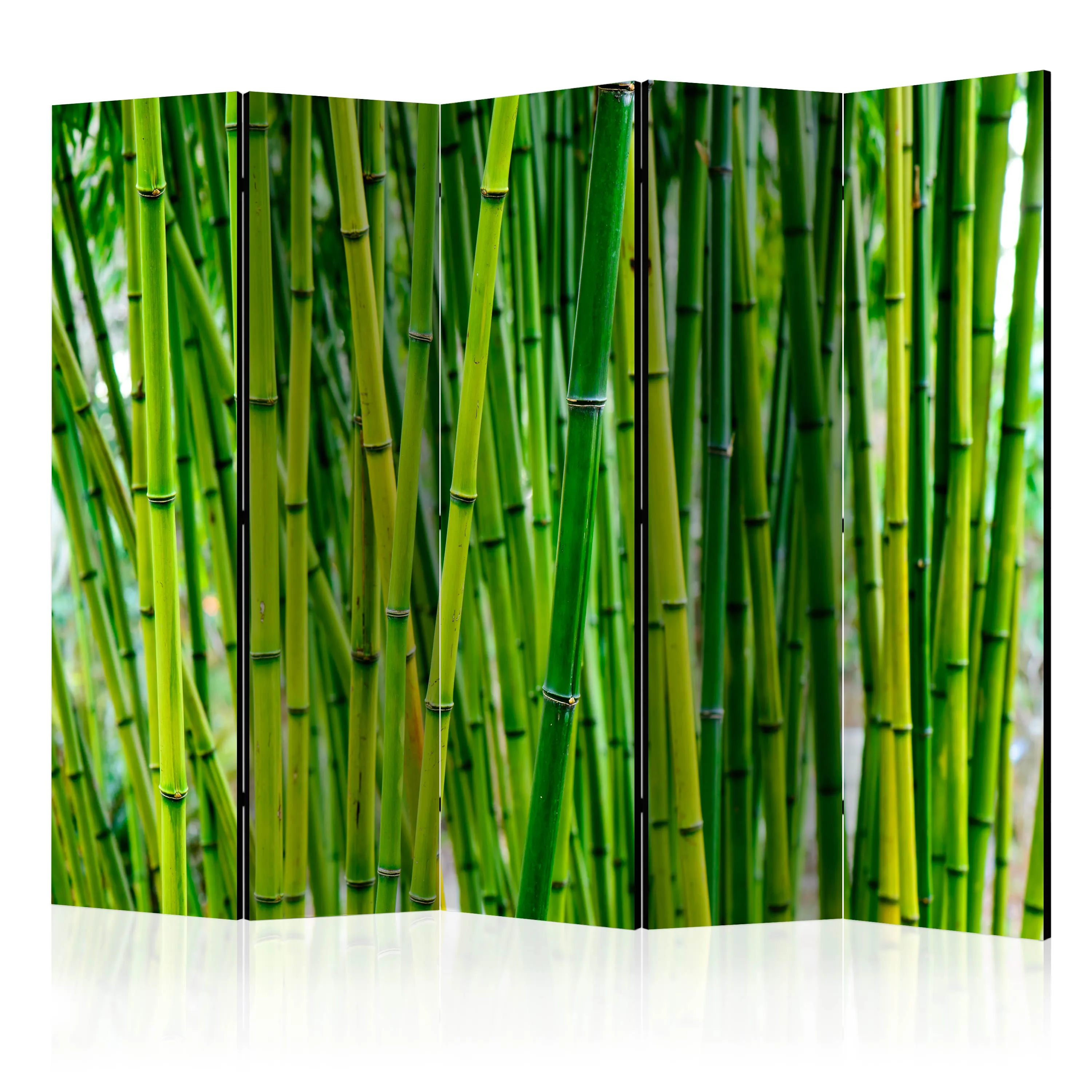 Paravento Bamboo Forest II [Room Dividers]