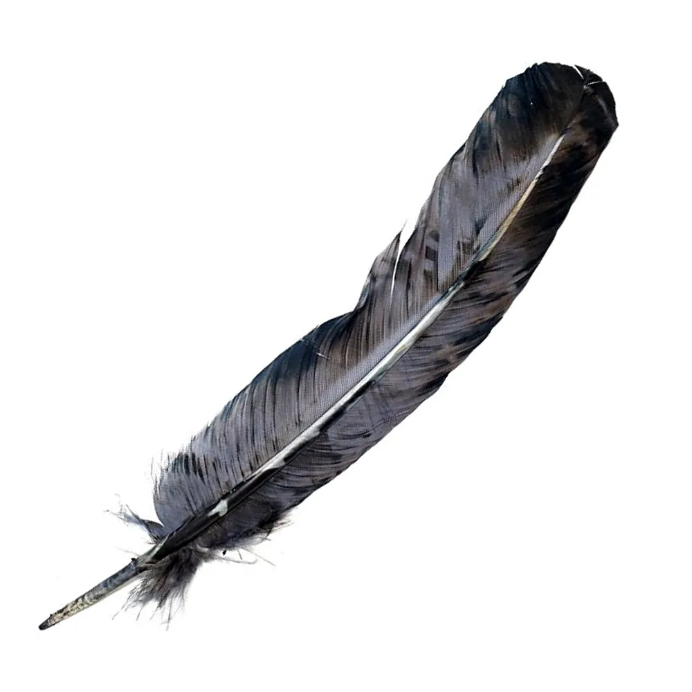 Smokey Gray Feather 10-12