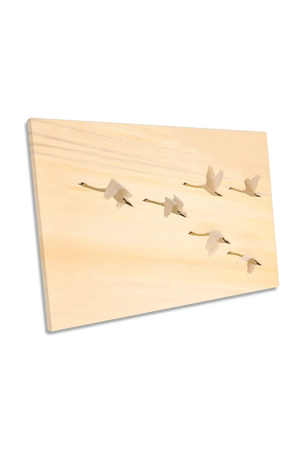 Wall Art & Pictures | Group Formation Swans Flight Sunset Birds Canvas Wall Art Picture Print | CanvasGeeks